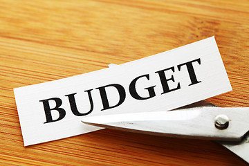 Image showing Budget cut