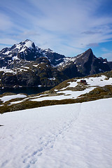 Image showing In the norwegian mountains