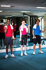 Image showing Group of people doing biceps exercise