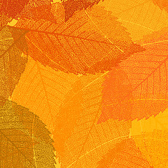 Image showing Dry autumn leaves template. EPS 8