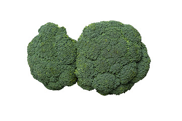 Image showing Broccoli vegetable isolated on white