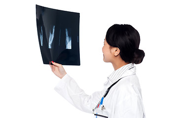 Image showing Female doctor looking at scanned x-ray report