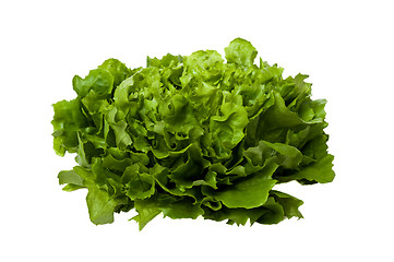 Image showing Fresh green lettuce