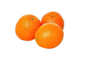 Image showing Mandarin oranges