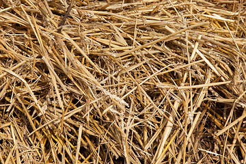 Image showing Close up of straw background texture