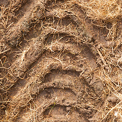 Image showing Close-up of a single tire track