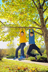 Image showing boys hanging from branch of tree