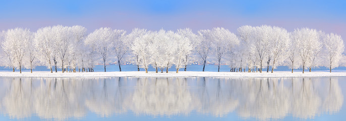 Image showing Danube river in winter time