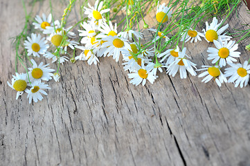 Image showing daisy on  vintage wood planks