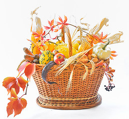 Image showing Autumnal basket over white 