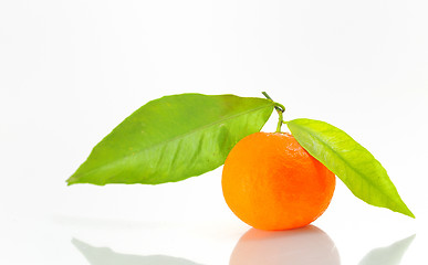 Image showing mandarin with leaf