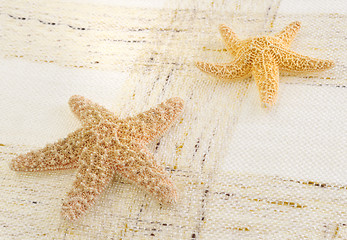 Image showing starfish