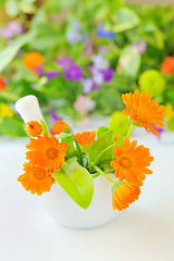 Image showing Calendula flowers and mortar