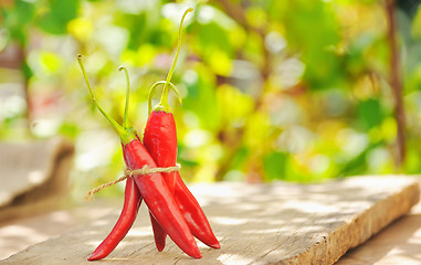 Image showing hot chili peppers