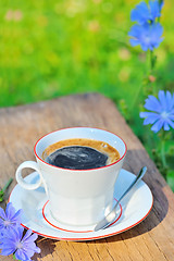 Image showing chicory coffee