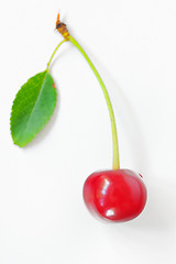 Image showing ripen cherries on a white background