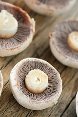 Image showing brown mushrooms 