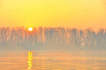 Image showing Sunrise on Danube river