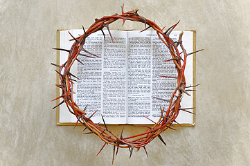 Image showing crown of thorns on the Bible