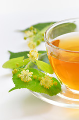 Image showing linden tea