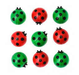 Image showing Group of ladybugs, isolated on white background