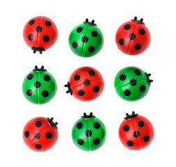 Image showing Group of ladybugs, isolated on white background