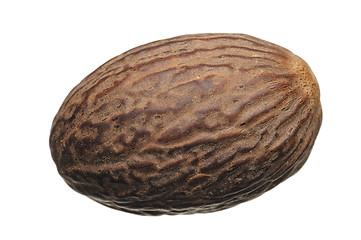 Image showing Nutmeg