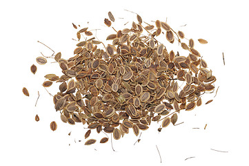 Image showing Fennel seeds