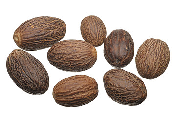 Image showing Nutmeg