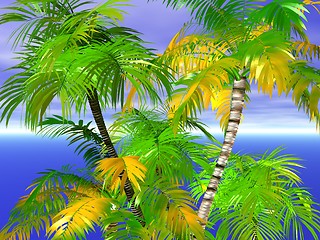 Image showing Palm trees