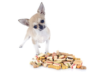 Image showing chihuahua and dry food