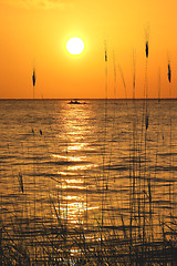 Image showing Yucatan Peninsula Beach