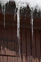 Image showing The icicles.