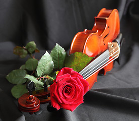 Image showing Violin