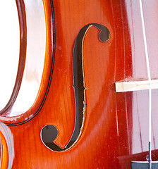 Image showing Violin