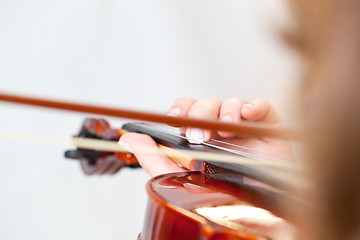 Image showing Violin