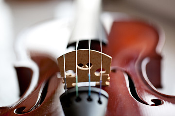 Image showing Violin