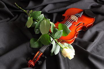 Image showing Violin