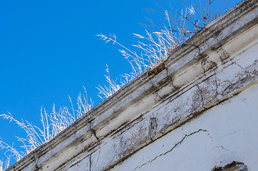 Image showing Bo Kaap, Cape Town 098-Grass