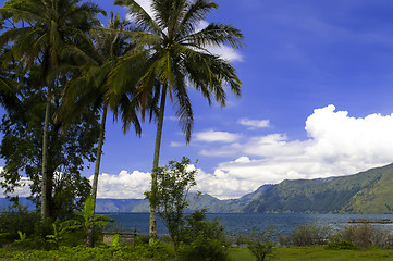 Image showing Landscape with Palm Trees in the background of Lake Toba.