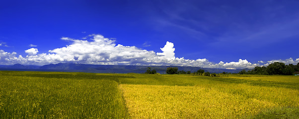 Image showing Village Landscape Panorama, Samosir Island.