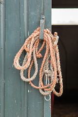 Image showing Old rope hanging 