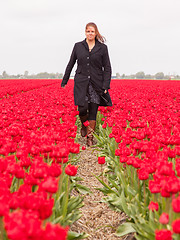 Image showing Woman standing in a field of tulips