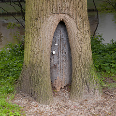 Image showing Little wooden fairy tale door