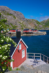 Image showing Scenic Nusfjord