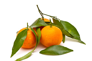 Image showing Ripe tangerines on white background