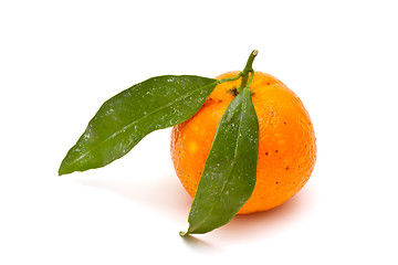 Image showing Ripe tangerine on white background