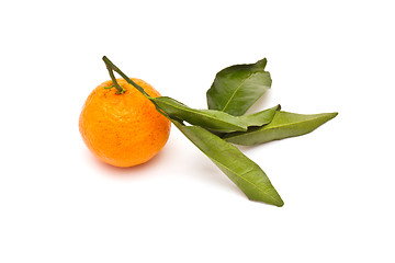 Image showing Ripe tangerine on white background