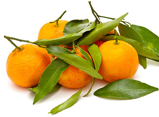 Image showing Ripe tangerines on white background