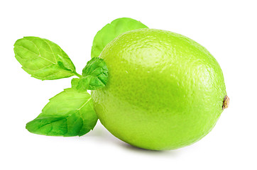 Image showing Lime